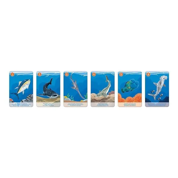 JEU DES 7 FAMILLES : LE REGNE ANIMAL-JANOD – Image 5