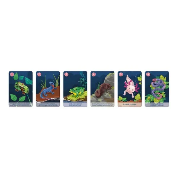 JEU DES 7 FAMILLES : LE REGNE ANIMAL-JANOD – Image 3