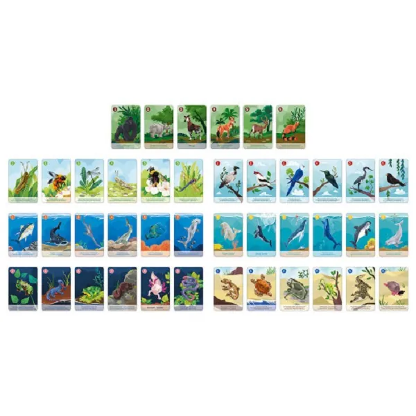 JEU DES 7 FAMILLES : LE REGNE ANIMAL-JANOD – Image 2