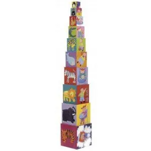 CUBES RIGOLOS - DJECO