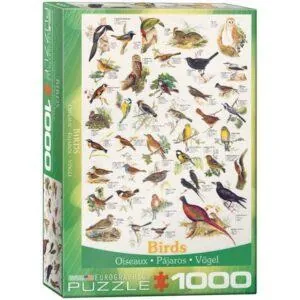 PUZZLE EUROGRAPHICS : OISEAUX - 1000 PIECES