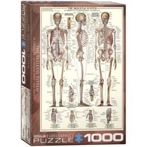 PUZZLE EUROGRAPHICS : LE SQUELETTE - 1000 PIECES