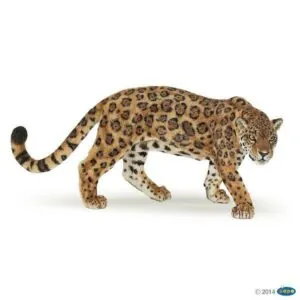 JAGUAR - PAPO