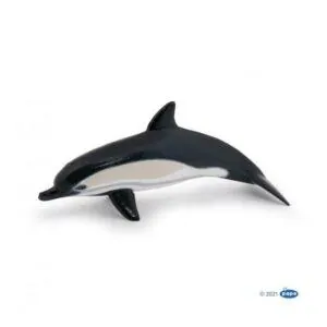 DAUPHIN COMMUN - PAPO