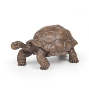 TORTUE DES GALAPAGOS - PAPO