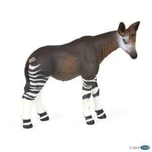 OKAPI - PAPO