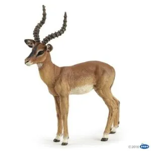 IMPALA - PAPO