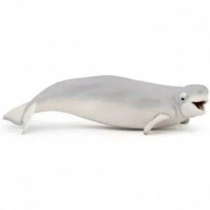BELUGA - PAPO