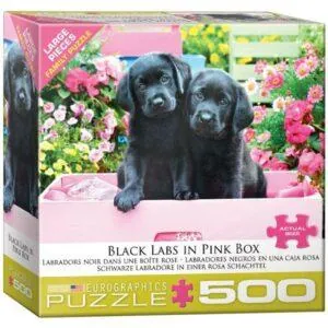 PUZZLE EUROGRAPHICS : LABRADORS DANS UNE BOITE ROSE - 500 PIECES