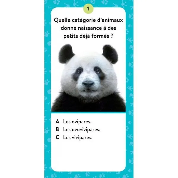 COFFRET SASSI - MEGA ATLAS DES ANIMAUX + MAQUETTES – Image 6