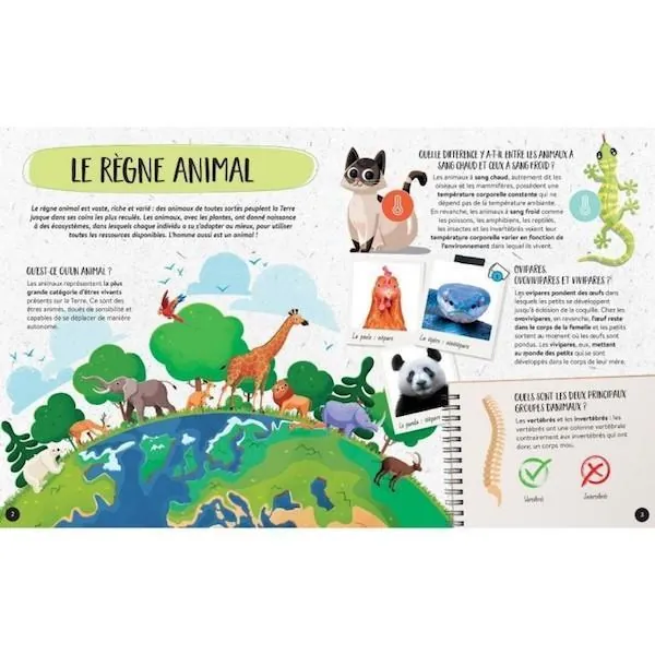 COFFRET SASSI - MEGA ATLAS DES ANIMAUX + MAQUETTES – Image 5