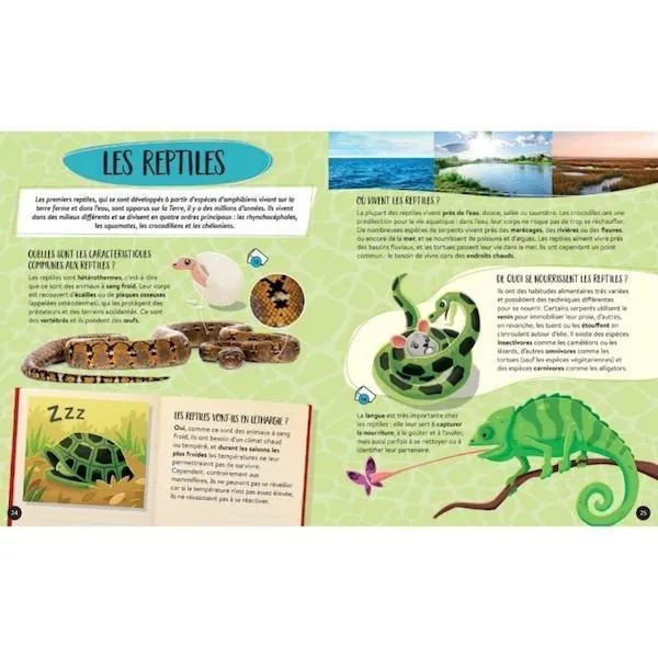 COFFRET SASSI - MEGA ATLAS DES ANIMAUX + MAQUETTES – Image 4