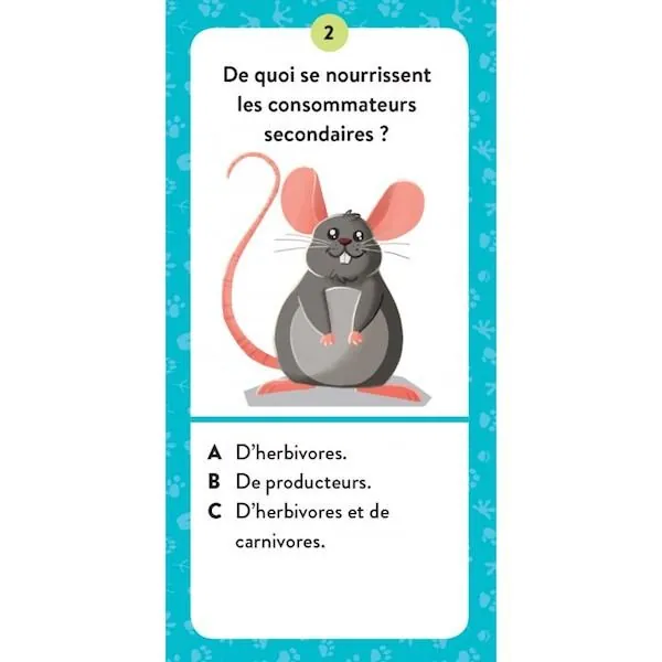 COFFRET SASSI - MEGA ATLAS DES ANIMAUX + MAQUETTES – Image 7