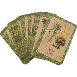 LES CERNES DU TEMPS - ORACLE - CARTES