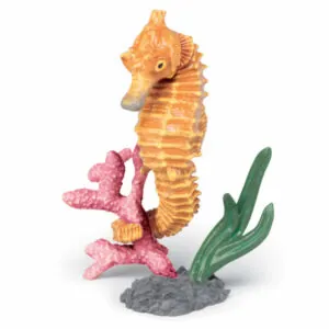 HIPPOCAMPE - PAPO
