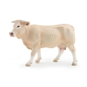 BLONDE D'AQUITAINE - PAPO