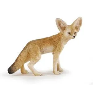 FENNEC - PAPO