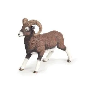 MOUFLON - PAPO