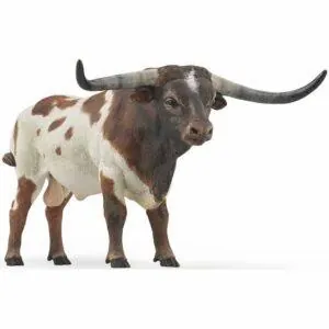 TAUREAU LONGHORN - PAPO