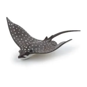RAIE LEOPARD - PAPO