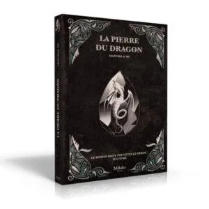 la-pierre-du-dragon