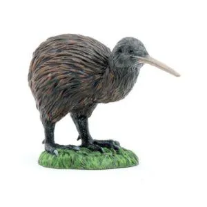 KIWI - PAPO