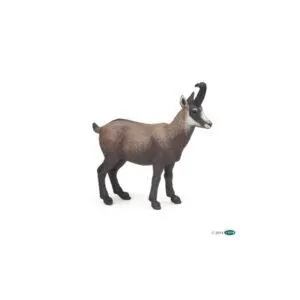 CHAMOIS - PAPO