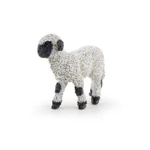 AGNEAU NOIR DU VALAIS - PAPO