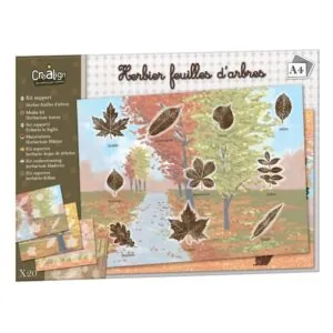 KIT SUPPORT 20 FEUILLES HERBIER FEUILLES D'ARBRES - CREALIGN