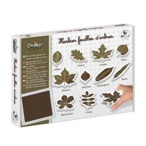 KIT OUTIL TAMPONS HERBIER FEUILLES D'ARBRES - CREALIGN