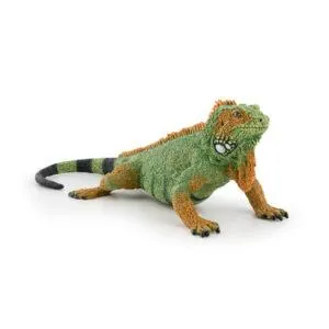 IGUANE - PAPO