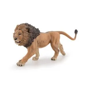 LION D'AFRIQUE - PAPO