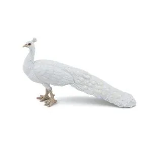 PAON BLANC - PAPO