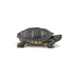 TORTUE DE FLORIDE - PAPO