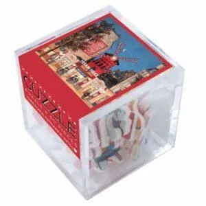 PUZZLE CUBE BOIS WILSON - DELACROIX : MOULIN ROUGE DELACROIX - 30 PIECES