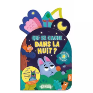 LIVRE PHOSPHORESCENT - QUI SE CACHE DANS LA NUIT - AUZOU