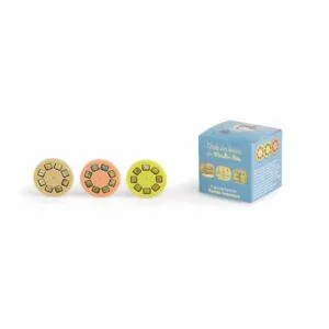 BOITE DE 3 DISQUES POUR LAMPE A HISTOIRES - LA FAMILLE SOURIS - MOULIN ROTY