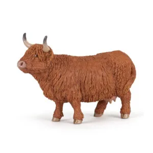 VACHE HIGHLAND - PAPO