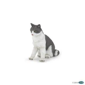 CHATTE ASSISE - PAPO