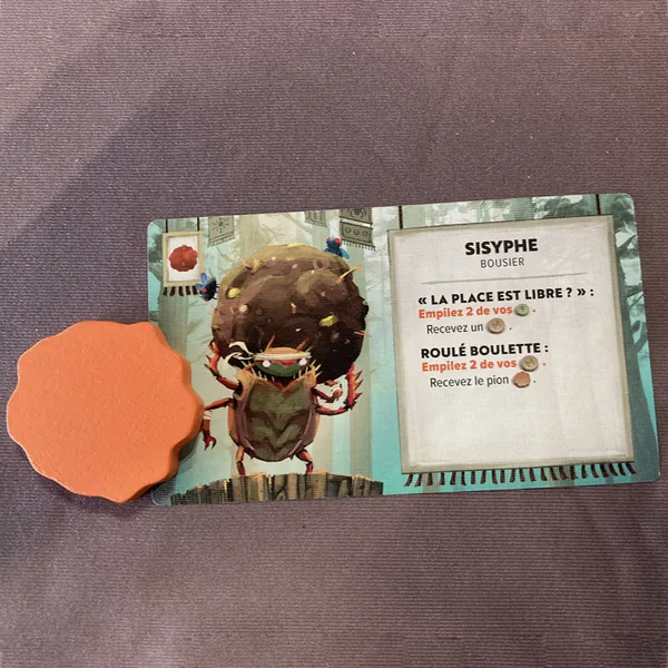 KABUTO SUMO