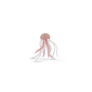 MEDUSE - PAPO