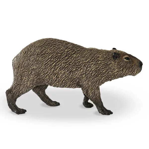 CAPYBARA - PAPO – Image 2
