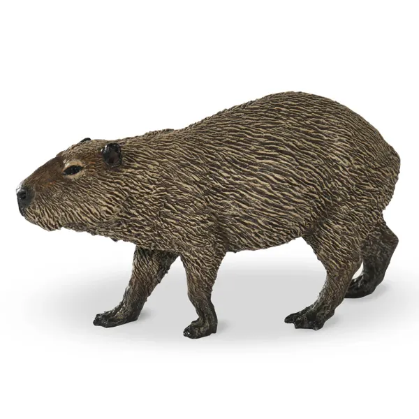CAPYBARA - PAPO – Image 3