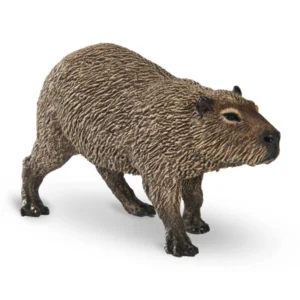 CAPYBARA - PAPO