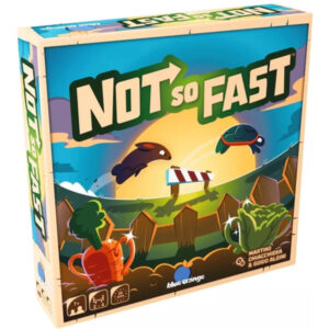 NOT SO FAST